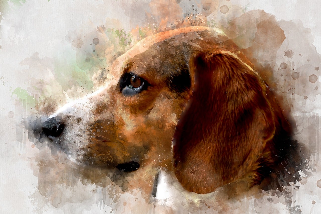 Golden Wash — Watercolour Retriever